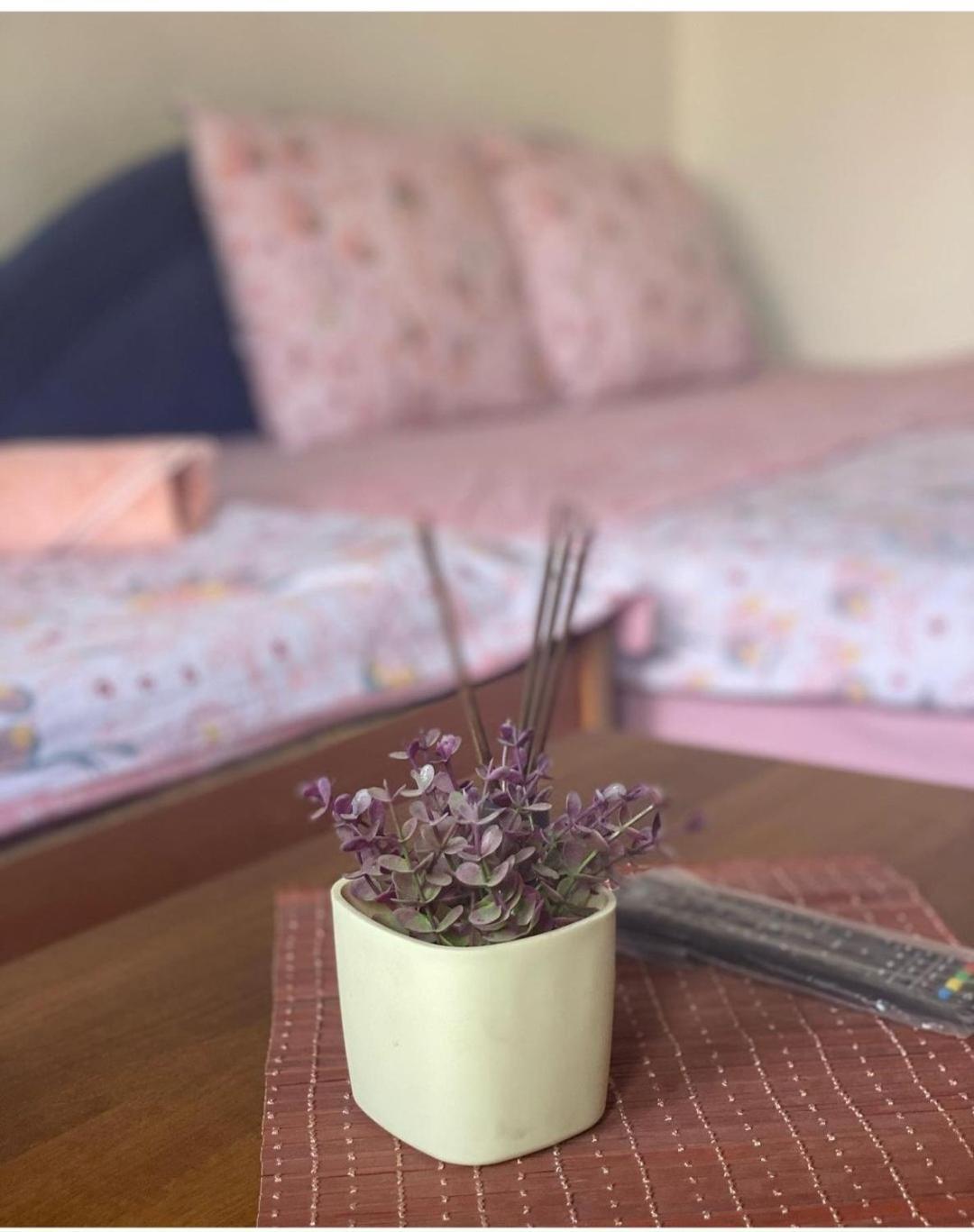 Guest House Zarnovel Palace أوهغيد المظهر الخارجي الصورة
